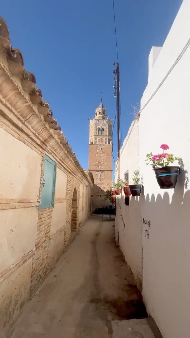 L'oliveraie primée et l'horloge inversée