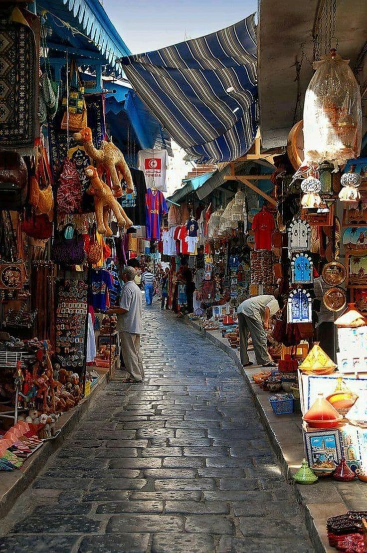  Tunis, Carthage et la Goulette — une journée entre médina et mer